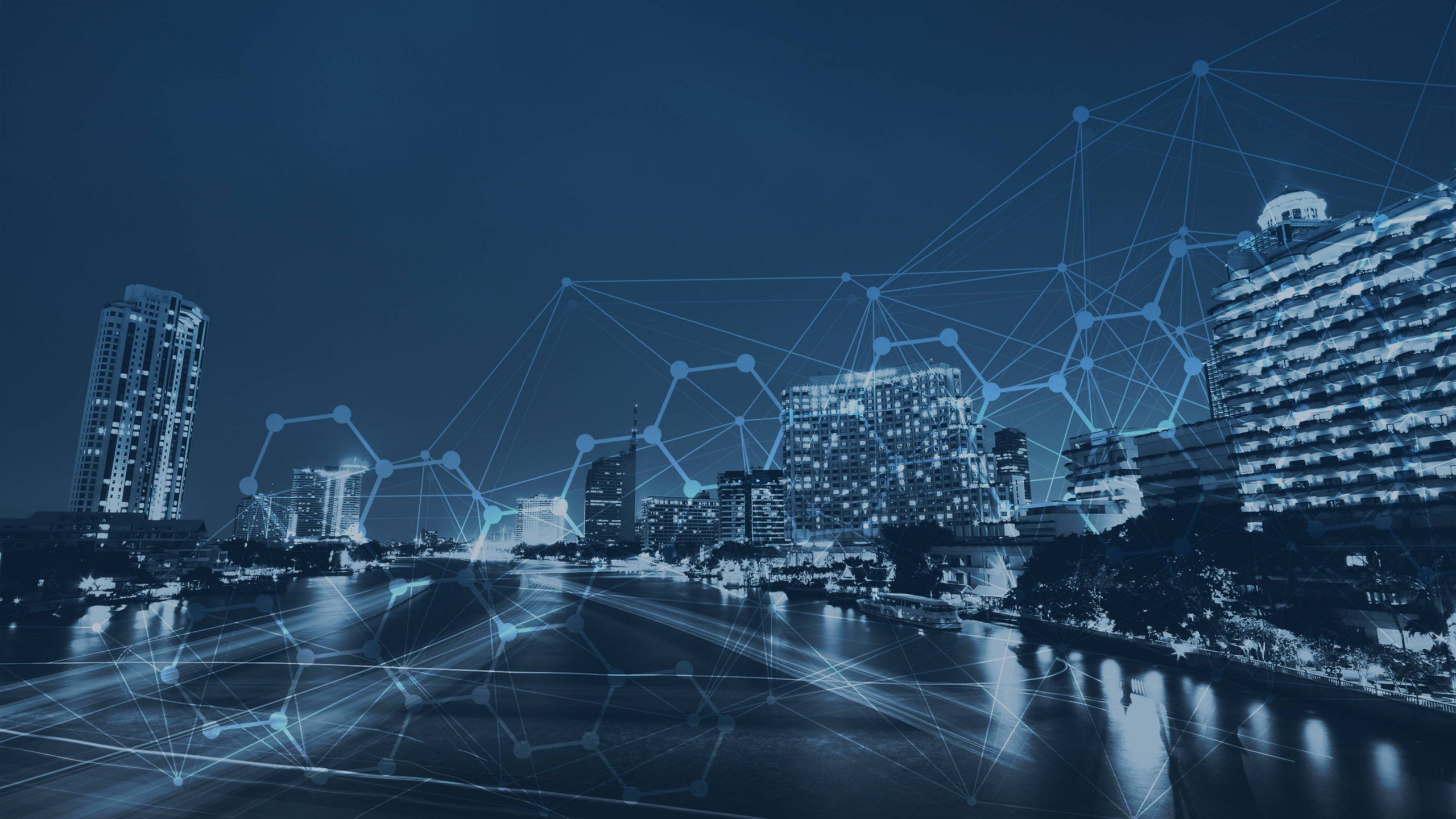 TXM Consult Insights