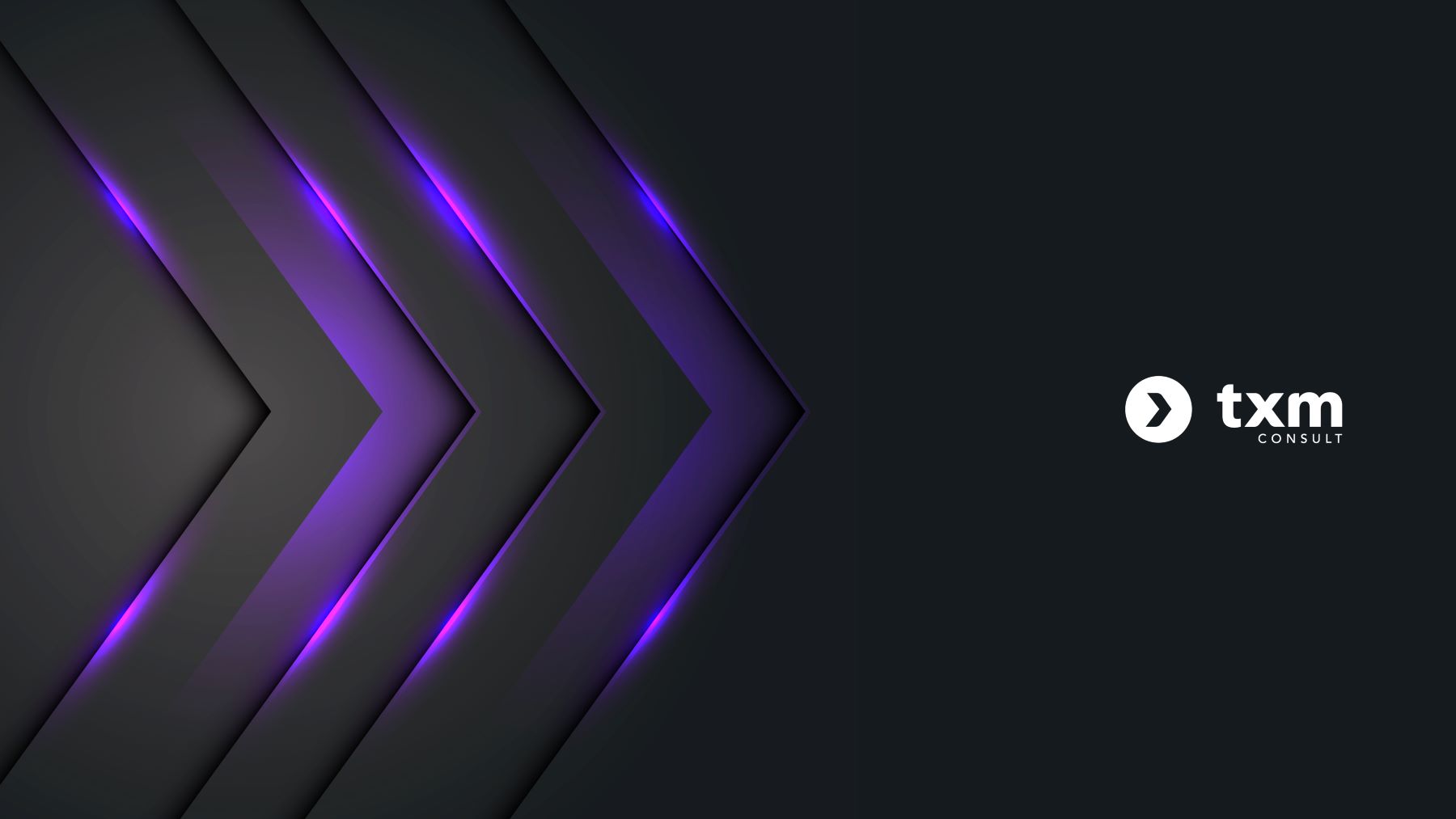 TXM Consult Insights